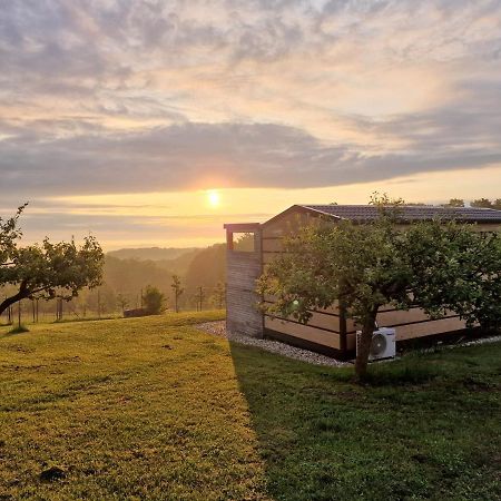Villa VINEA PANONIKA wine&mind retreat Radenci Exterior foto