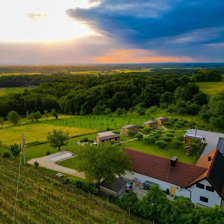 Villa VINEA PANONIKA wine&mind retreat Radenci Exterior foto