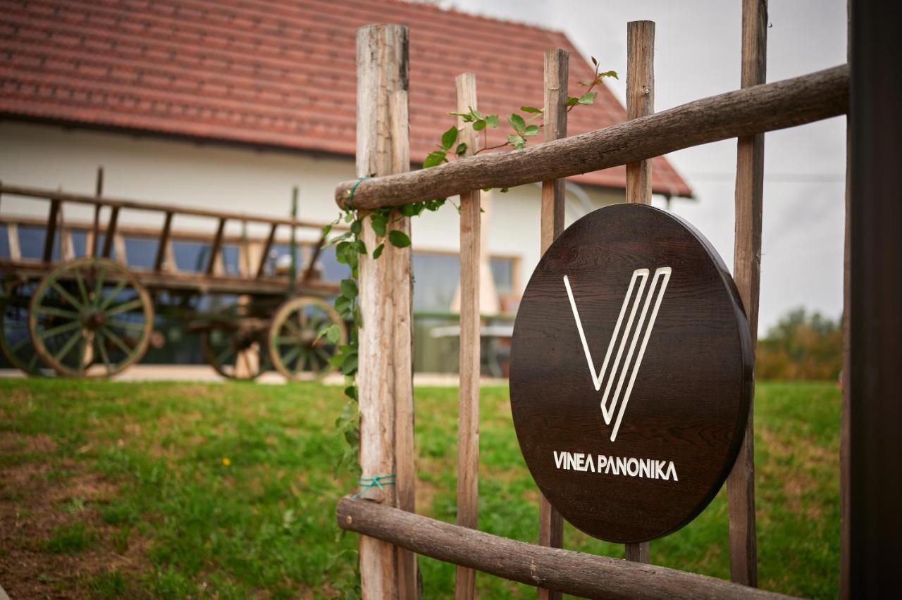 Villa VINEA PANONIKA wine&mind retreat Radenci Exterior foto