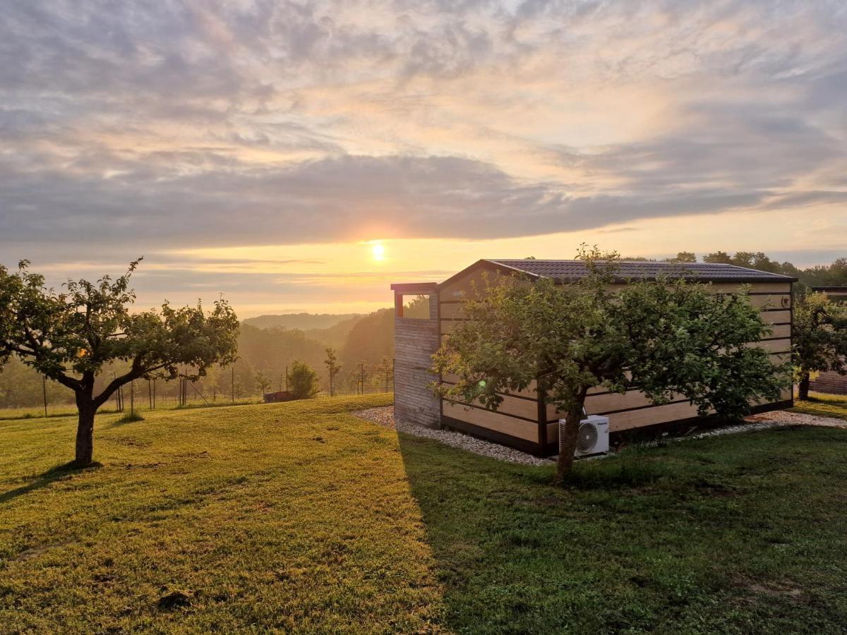 Villa VINEA PANONIKA wine&mind retreat Radenci Exterior foto