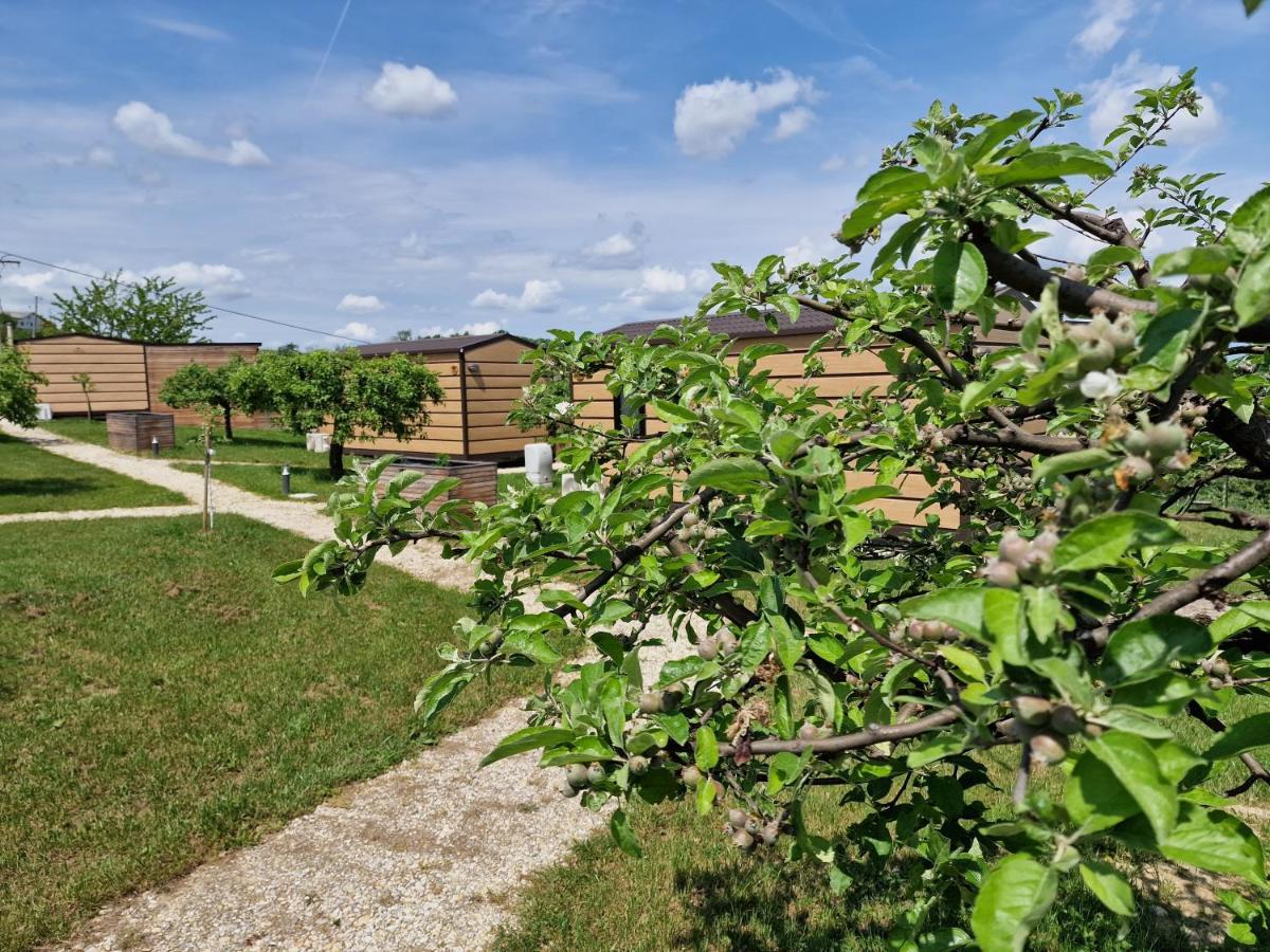 Villa VINEA PANONIKA wine&mind retreat Radenci Exterior foto